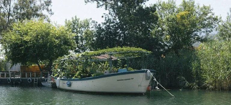 A Boat on a River