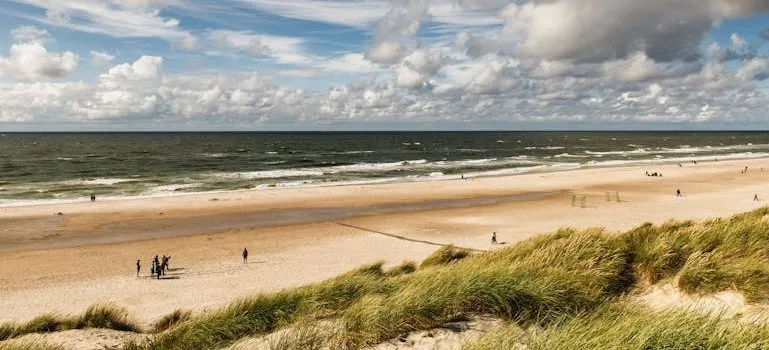 People Walking on a Beach