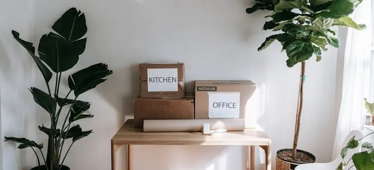 boxes to pack lightly when moving to Clearwater