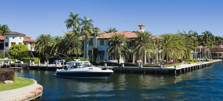View of Boats on a River near the Palm Trees