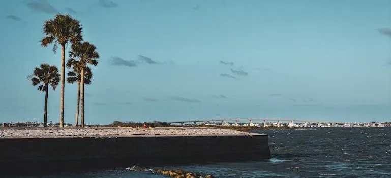 Buying a house in Pinellas County near the water
