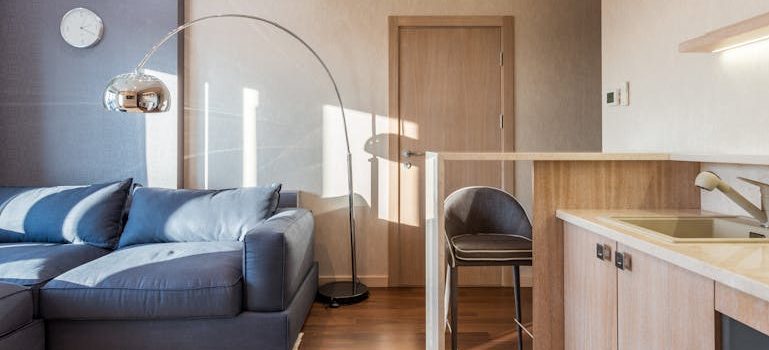 Interior of modern apartment with kitchen and living room
