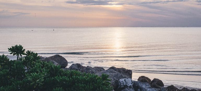 Trinity FL should be your next move because of the beach