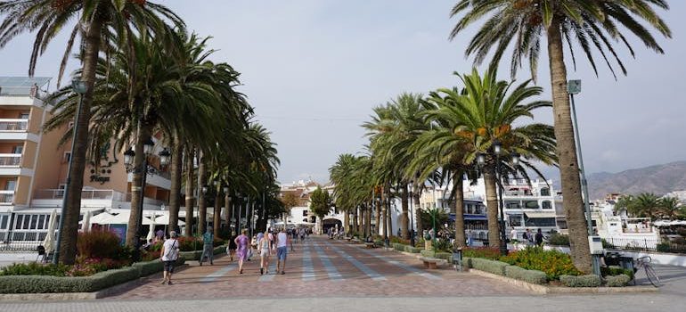 go-to moving guide for settling in Seminole