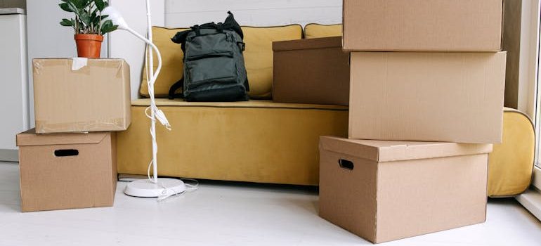 Black Backpack on Yellow Couch Beside Boxes