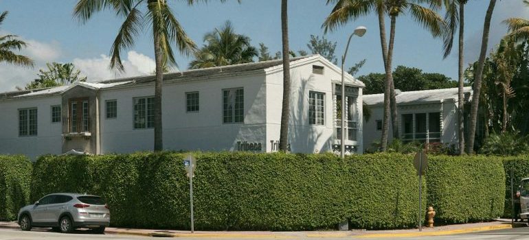 Sunny Florida Street with Palm Trees and Classic Building